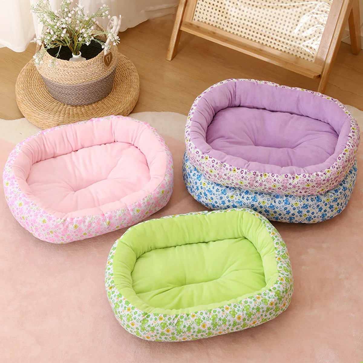 coussin chat 4 coloris softdream