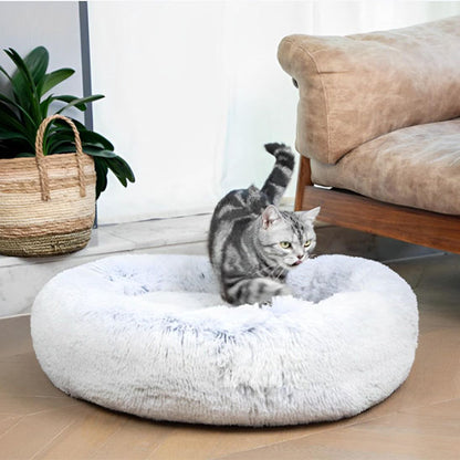 coussin-chat-blanc