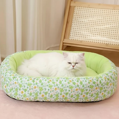 coussin chat feuille cherie softdream