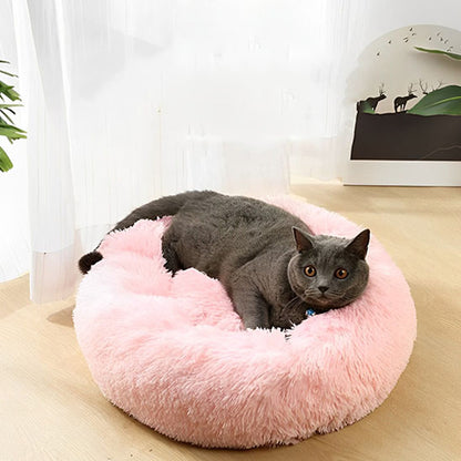 coussin-chat-rose