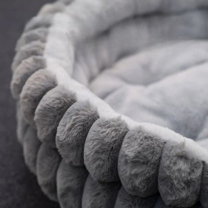 Coussin pour chat - CalmiPaw™ - Vie de chats