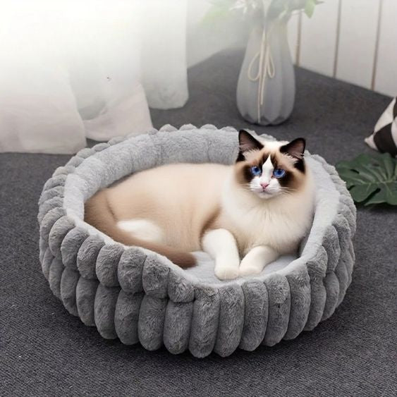 Coussin pour chat - CalmiPaw™ - Vie de chats