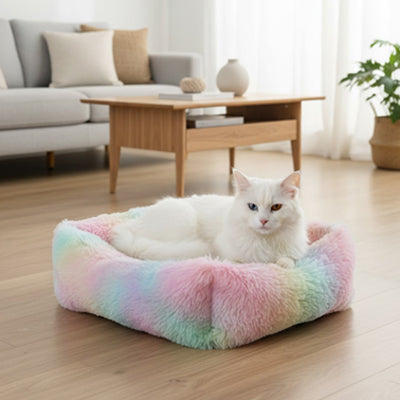 coussin pour chat pastel rainbowpurr