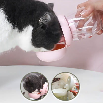 distributeur eau chat essentiel mewsip