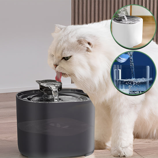fontaine a eau chat eau pure clearsip