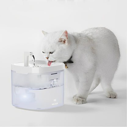 fontaine a eau chat hydratation kittysip
