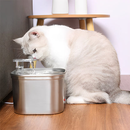 fontaine a eau chat salon whiskerwell