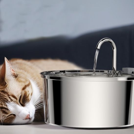 fontaine a eau chat silencieux purrspring