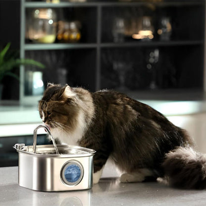 fontaine chat cuisine aquasense