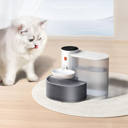 fontaine eau chat purete kittydrip