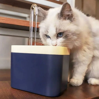 fontaine eau chat qualite freshtail