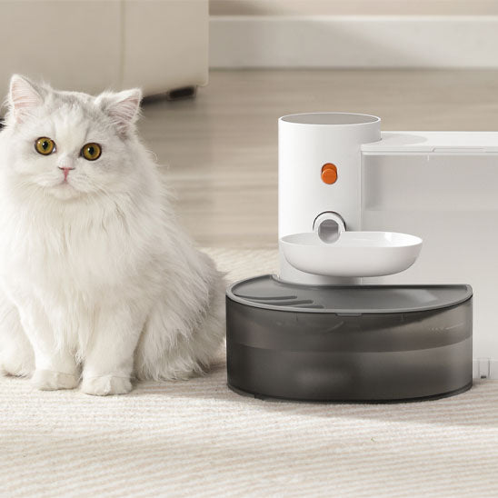 fontaine eau chat tranquillite kittydrip