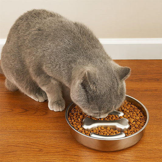 gamelle anti glouton confort pacepaw