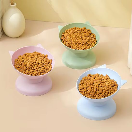 gamelle pour chat couleurs kittydish