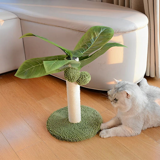 griffoir-chat-carrousel-1-clawtopia