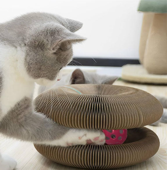 griffoir-chat-carton-carrousel-3-clawloop