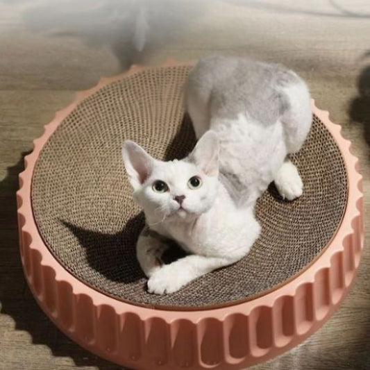 griffoir chat carton confort pawpad