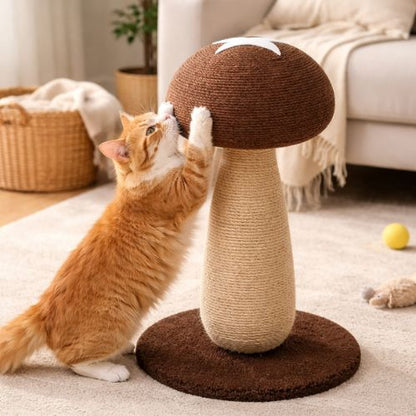 griffoir chat chat fait griffes sur griffoir champignon pawshroom