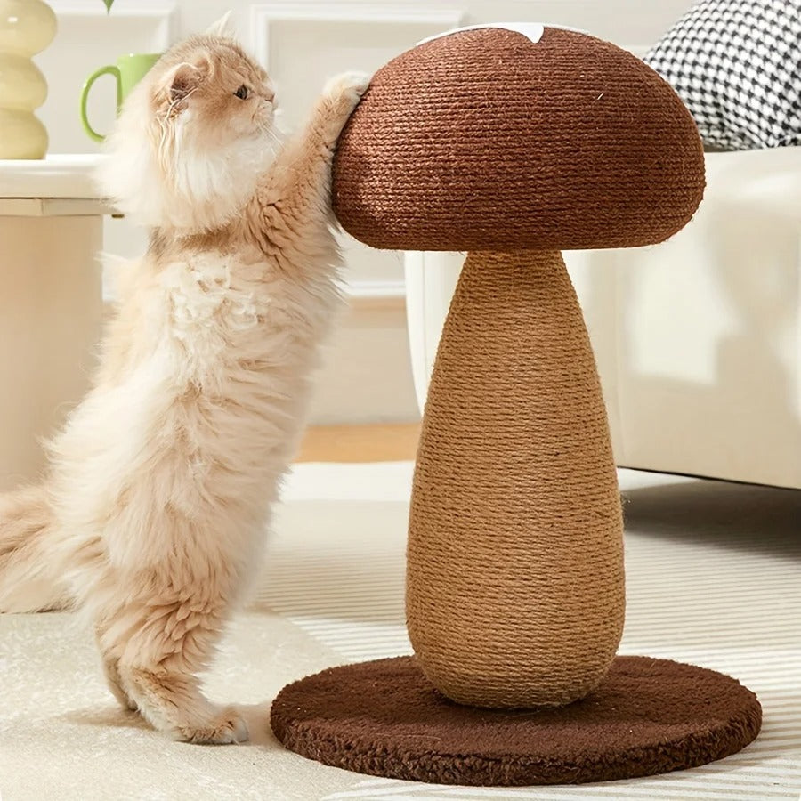 griffoir chat grand pawshroom