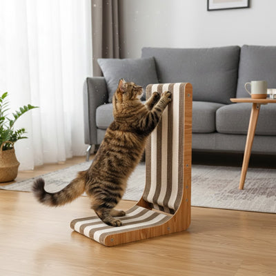 griffoir chat resistant pawtify
