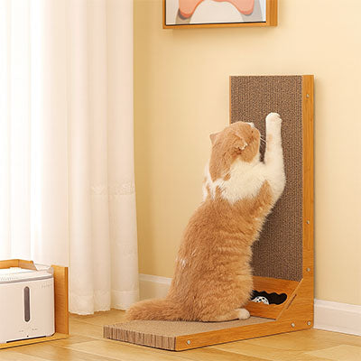 griffoir chat salon clawl