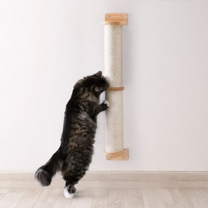 griffoir chat sur mur pawledge
