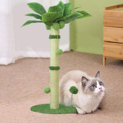 griffoir interactif tropicat