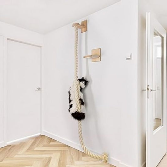 griffoir-pour-chat-carrousel-1-clawtwist