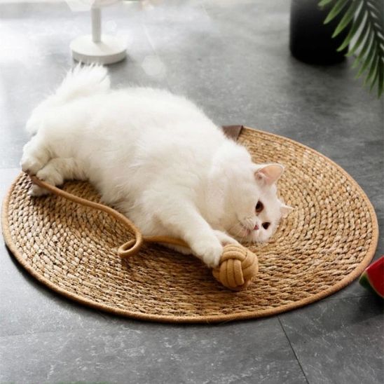 griffoir-pour-chat-carrousel-1-kittyclaws