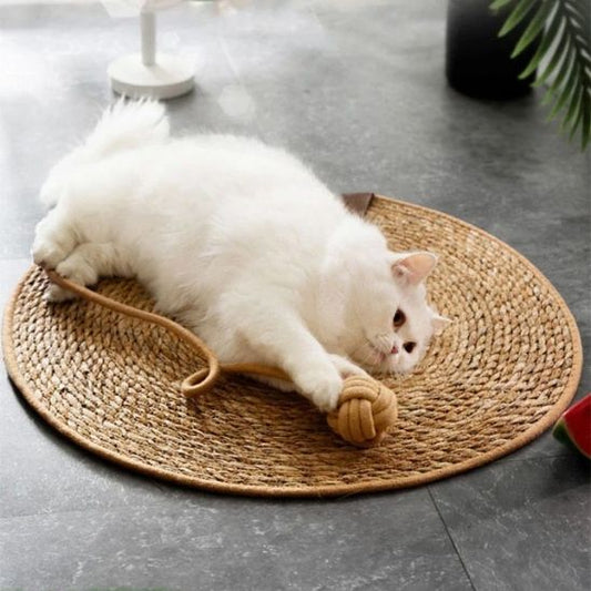 griffoir-pour-chat-carrousel-1-kittyclaws