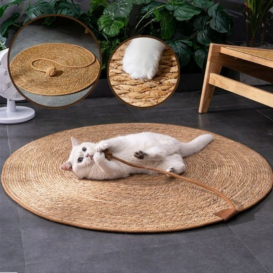 griffoir-pour-chat-carrousel-2-kittyclaws