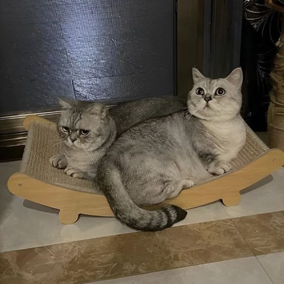 griffoir-pour-chat-carrousel-2-scratchmate