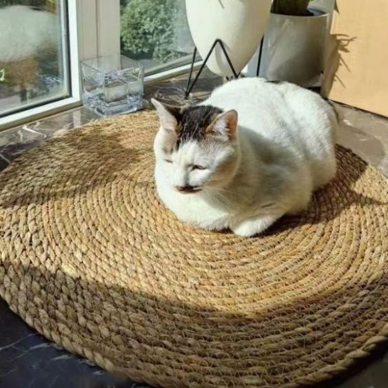 griffoir-pour-chat-carrousel-3-kittyclaws