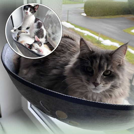 hamac-a-chat-carrousel-1-catperch