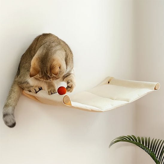 Hamac chat - CatHaven™ - Vie de chats