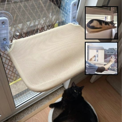 hamac-chat-fenetre-endroit-paisible