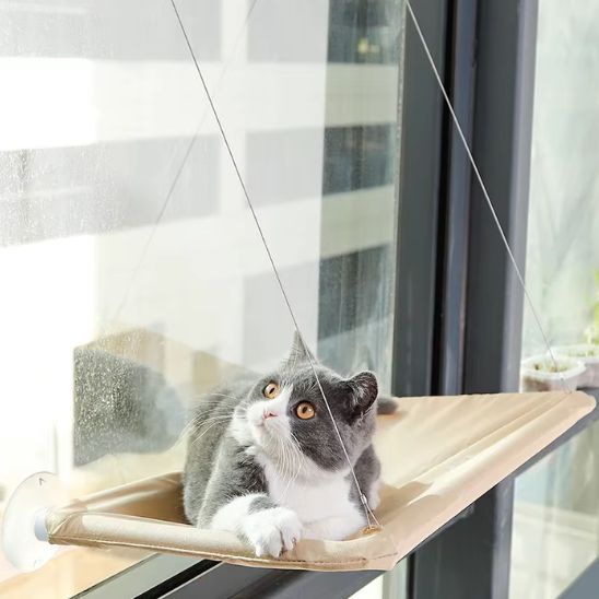 HAMAC CHAT FENETRE - SunNap™ - Vie de chats