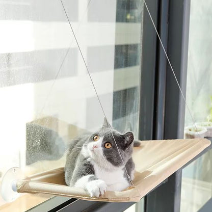 HAMAC CHAT FENETRE - SunNap™ - Vie de chats