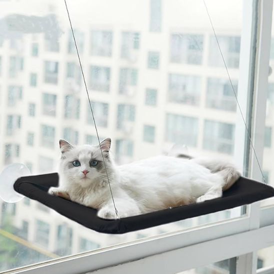 HAMAC CHAT FENETRE - SunNap™ - Vie de chats