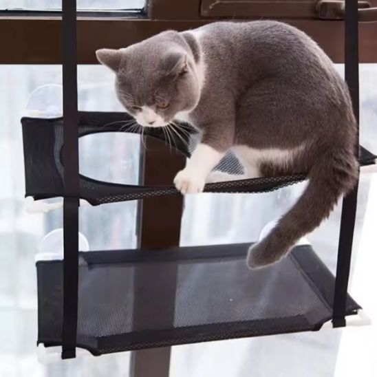 Hamac chat - Hammypaws™ - Vie de chats