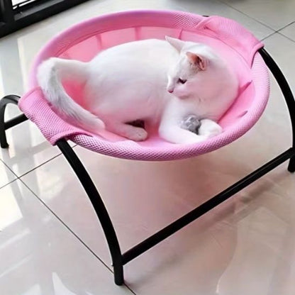 hamac-chat-rose