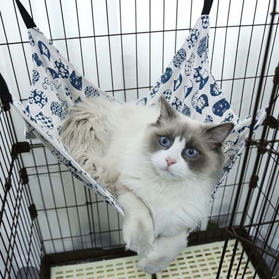 hamac pour chat bien etre kittycradle