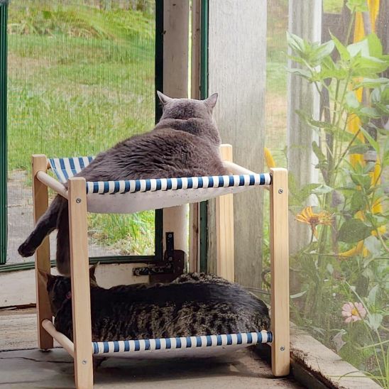 Hamac pour chat - RestUp™ - Vie de chats