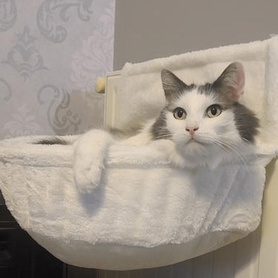 hamac radiateur pour chat bien etre radiatcat