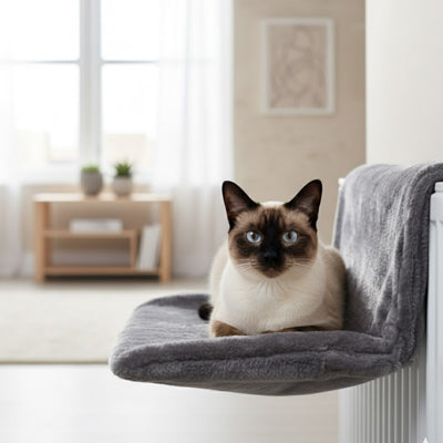 hamac radiateur pour chat elegant furwarm