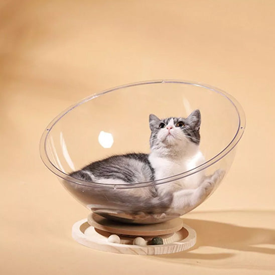 lit chat design unique curvpet