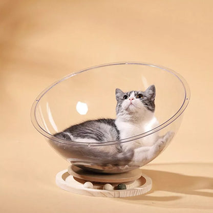 lit chat design unique curvpet