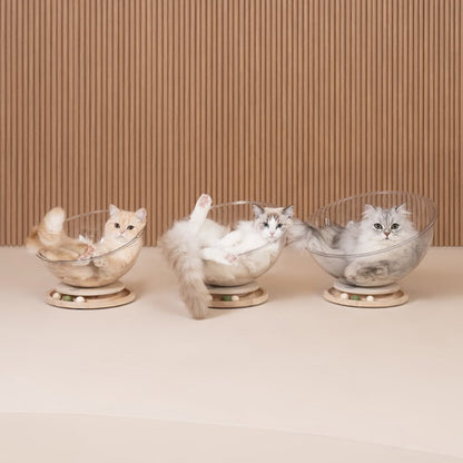 lit chat trois chats trois lits curvpet