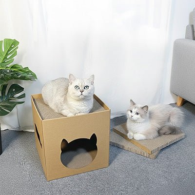 Maison en carton pour chat - UrbanPurr™ - Vie de chats