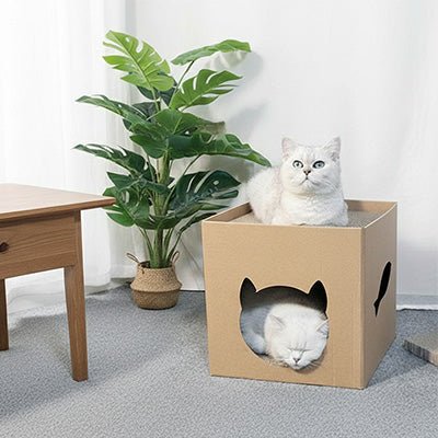 Maison en carton pour chat - UrbanPurr™ - Vie de chats